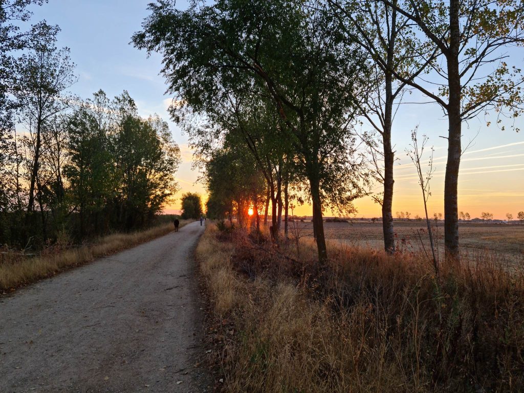 camino frances etape 15