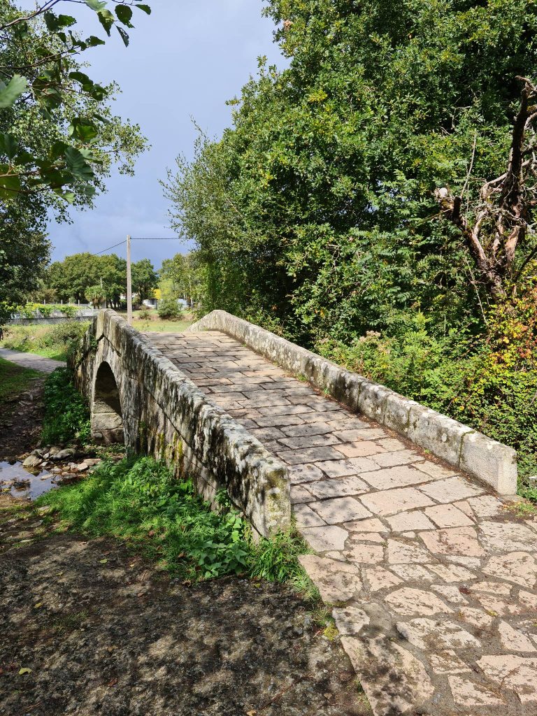 camino frances etape 26