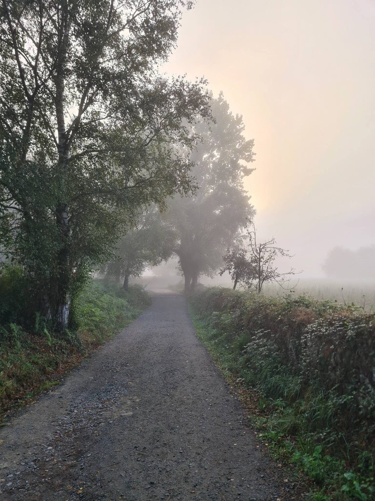 camino frances etape 27