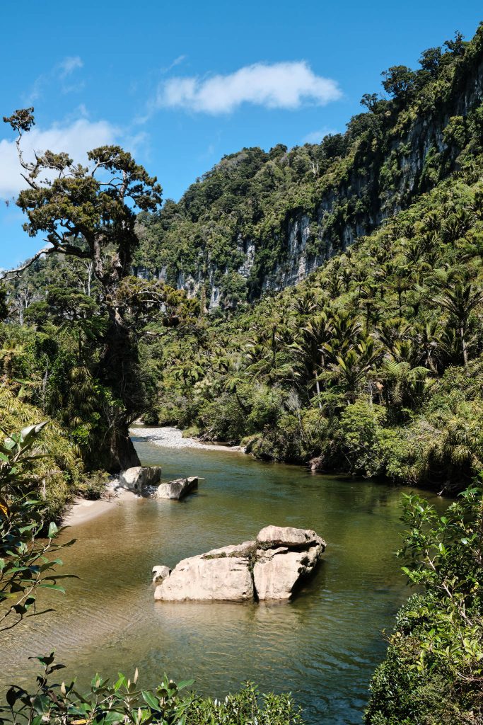 Pororari River Track