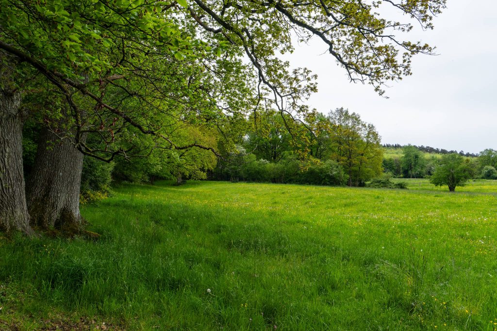 weris et ses pierres