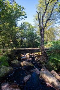 Xhoffraix Au Pays du Negus