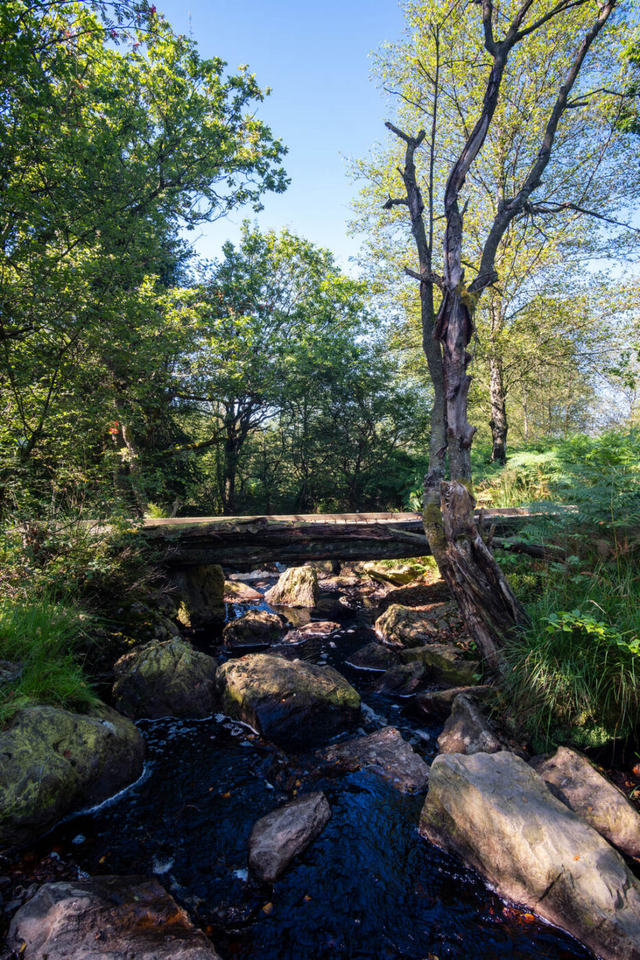 Xhoffraix Au Pays du Negus