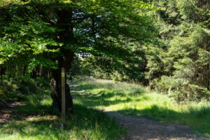 Xhoffraix Au Pays du Negus