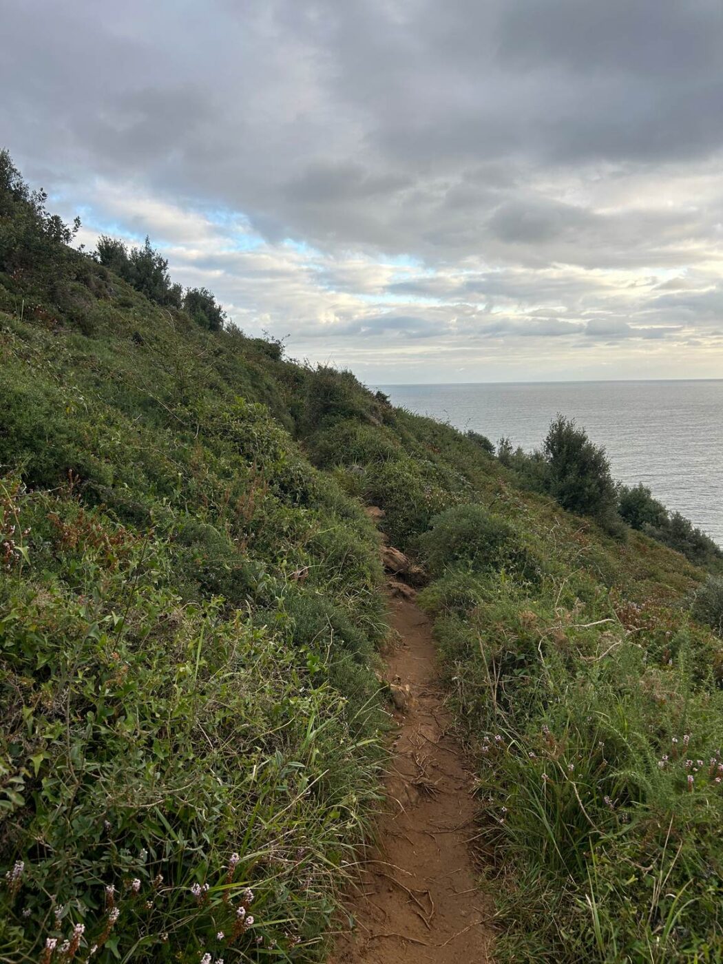 Camino Del Norte - Etape 12