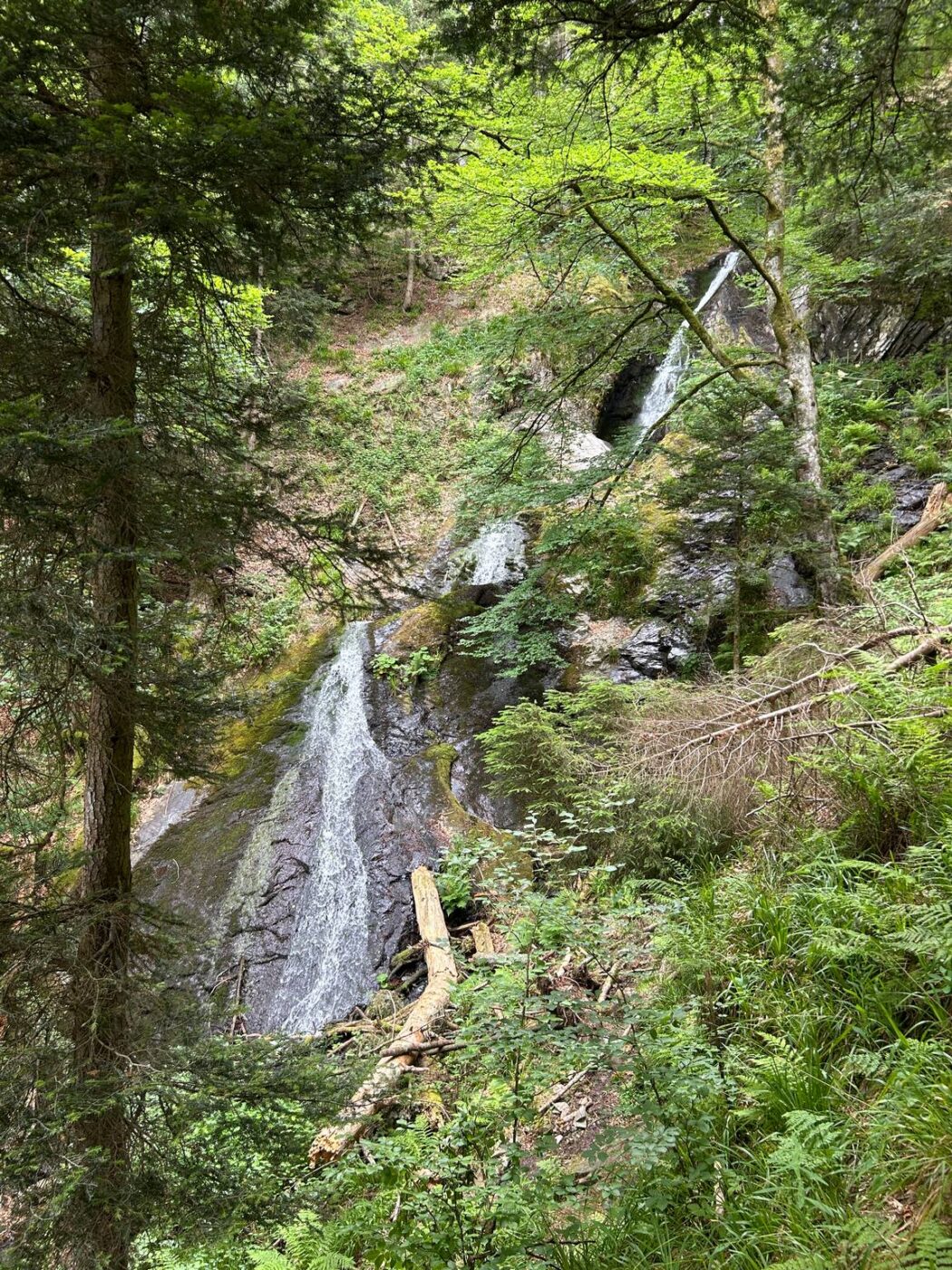 Ascension du Grand Ballon