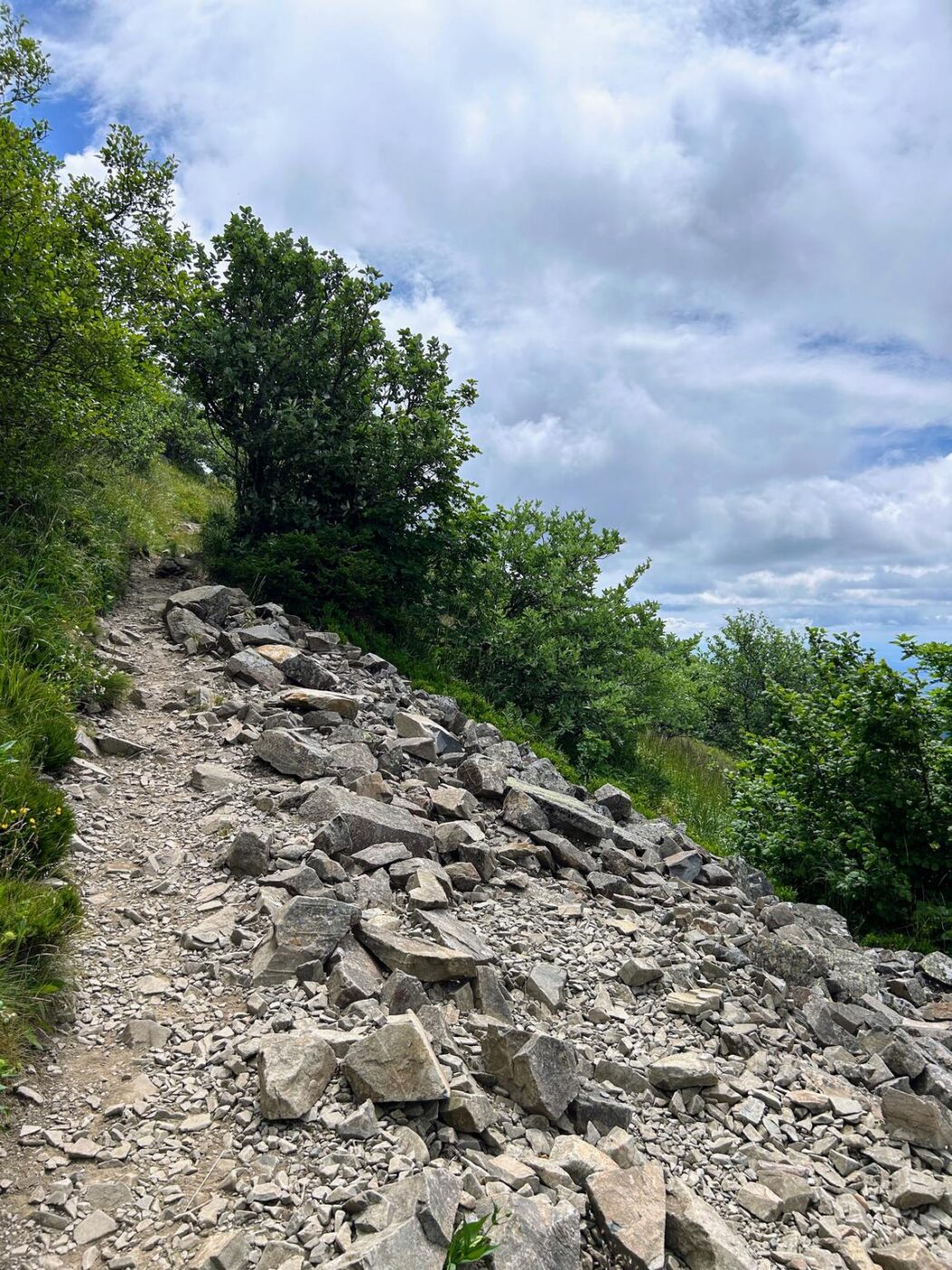 Ascension du Grand Ballon