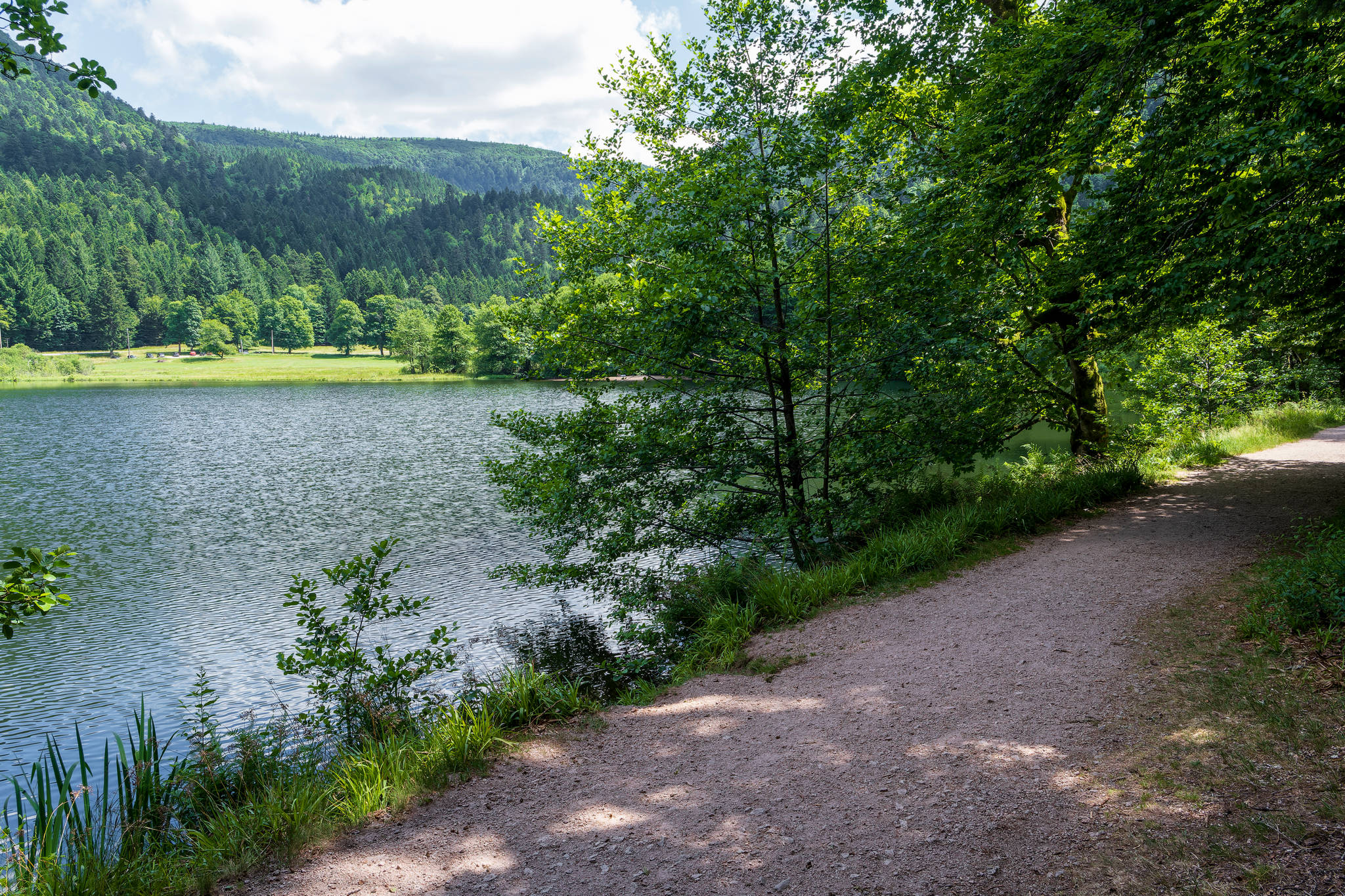 Randonnée vers les Magnifiques Cascades de Retournemer et Charlemagne