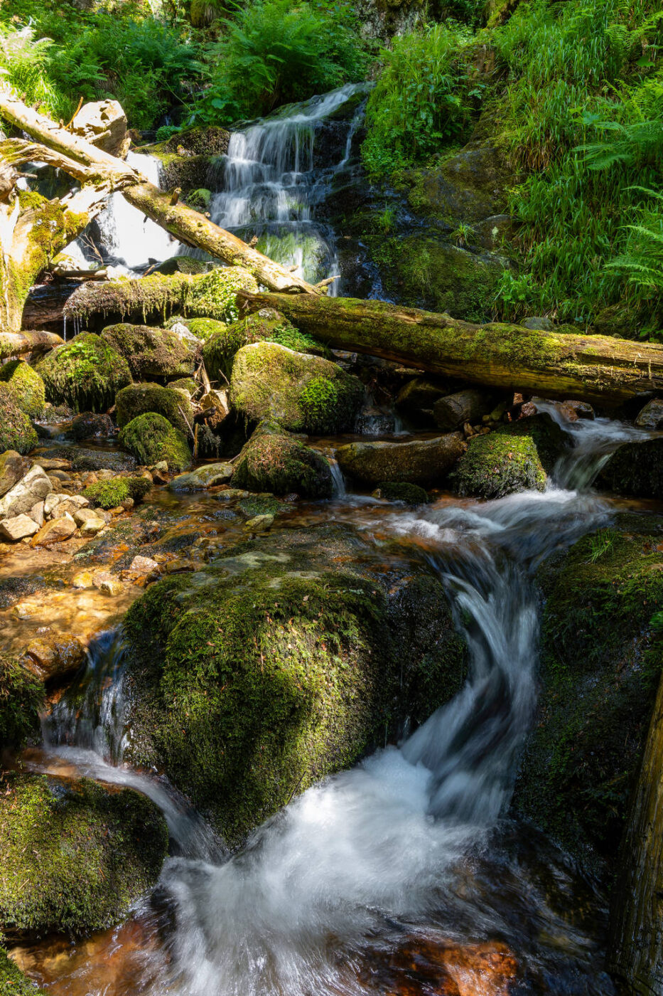 Randonnée vers les Magnifiques Cascades de Retournemer et Charlemagne