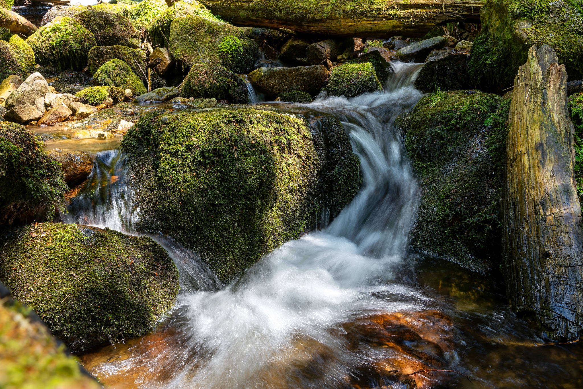 Randonnée vers les Magnifiques Cascades de Retournemer et Charlemagne