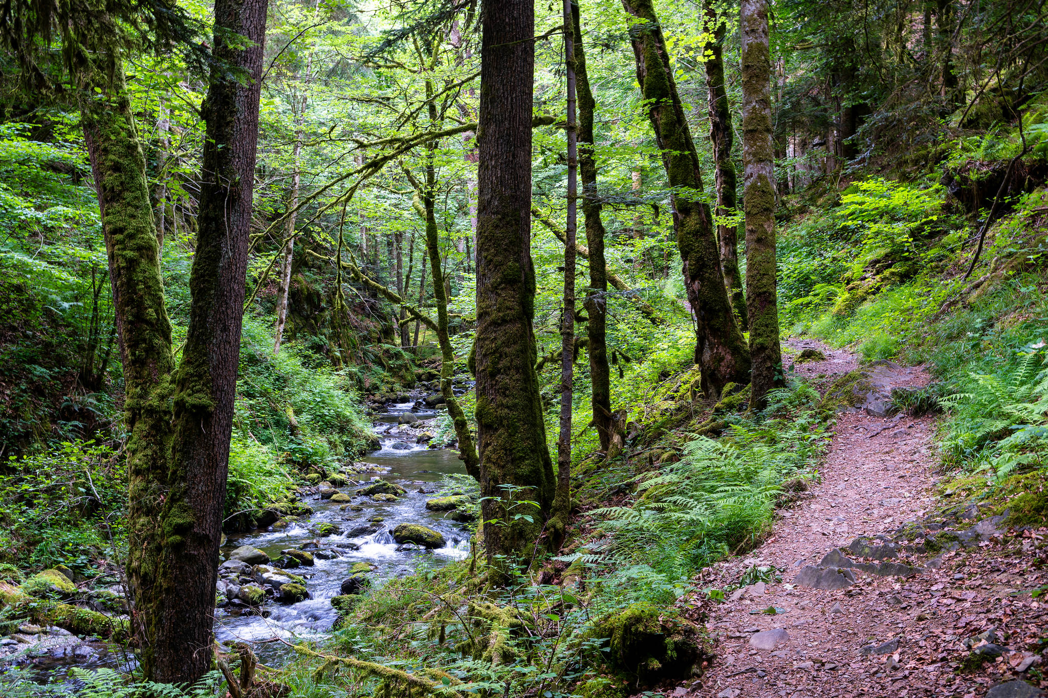 Ascension du Grand Ballon