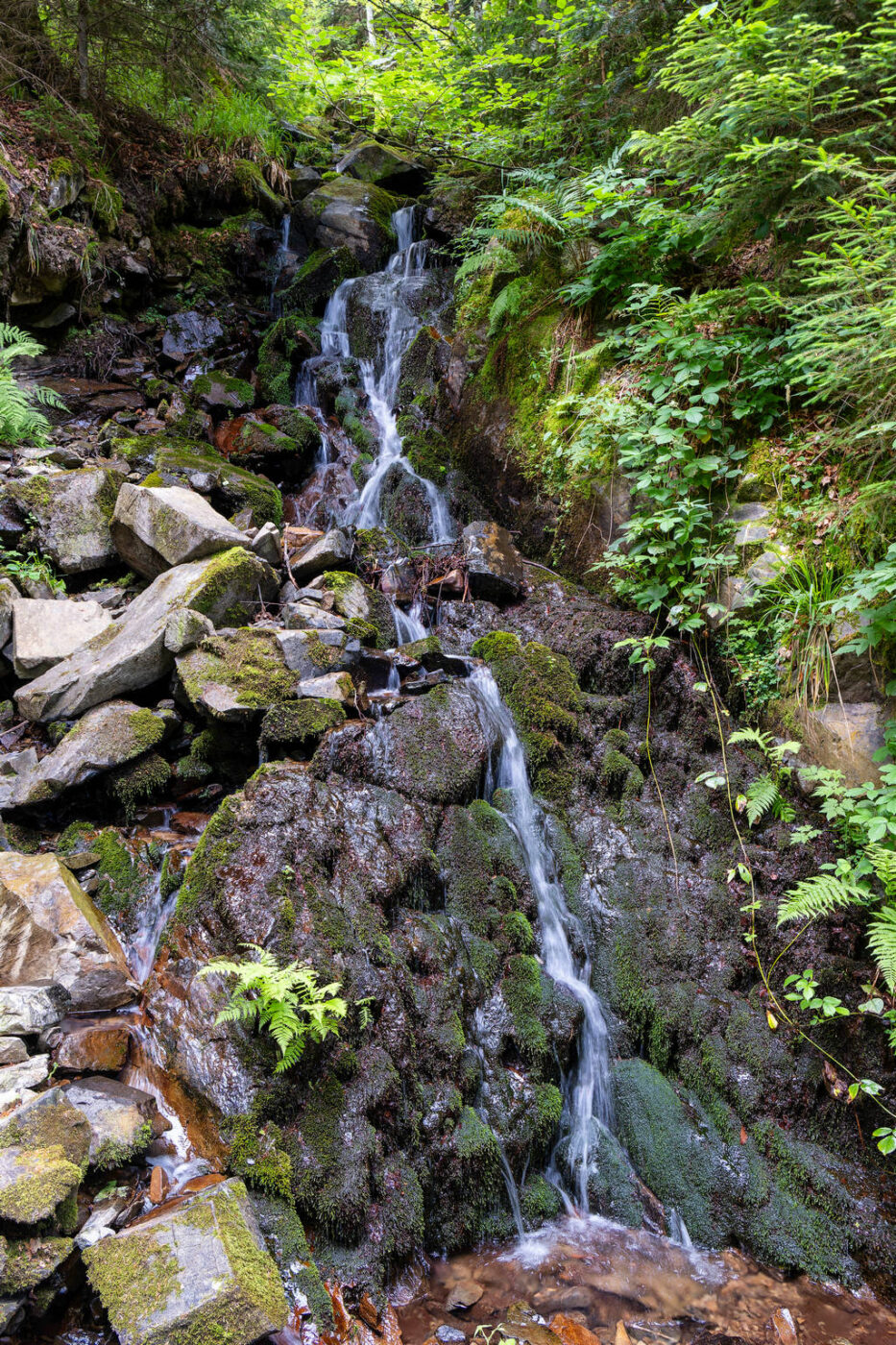 Ascension du Grand Ballon