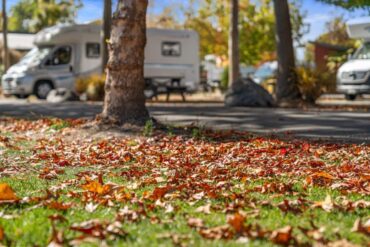 Camping à Christchurch, Nouvelle Zélande - Tasman Holiday Parks – Christchurch