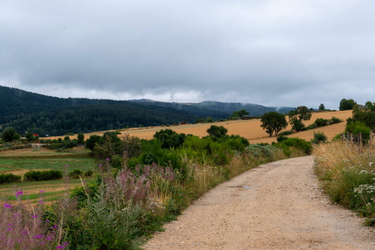 GR65 - Etape 3 - La Clauze à Saint Alban sur Limagnole