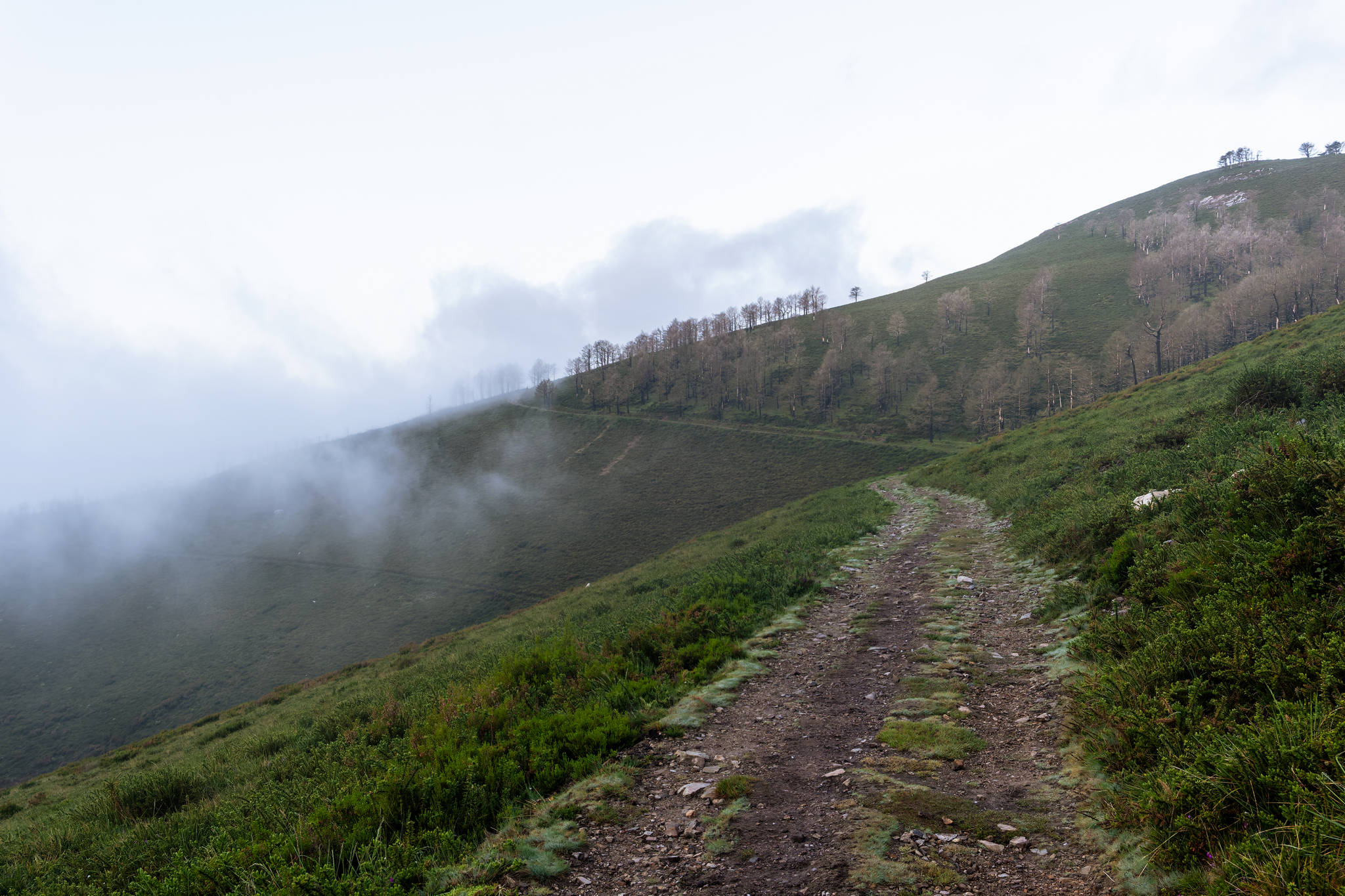 Camino Primitivo - Etape 5 - Borres à La Mesa
