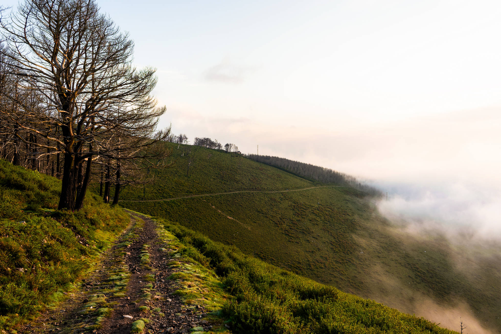 Camino Primitivo - Etape 5 - Borres à La Mesa