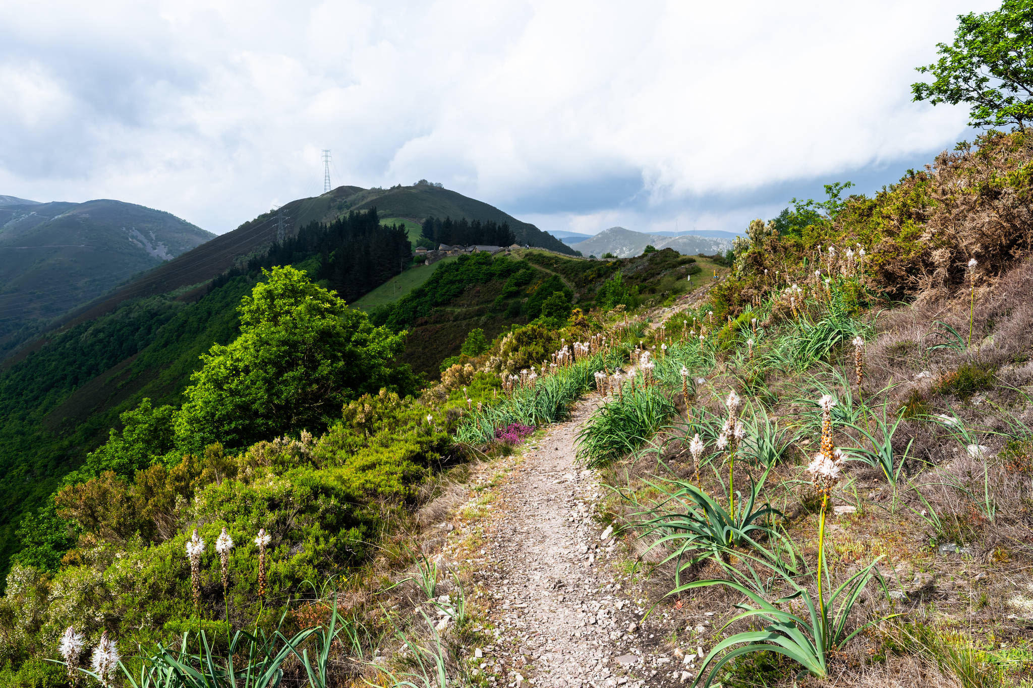 Camino Primitivo - Etape 5 - Borres à La Mesa