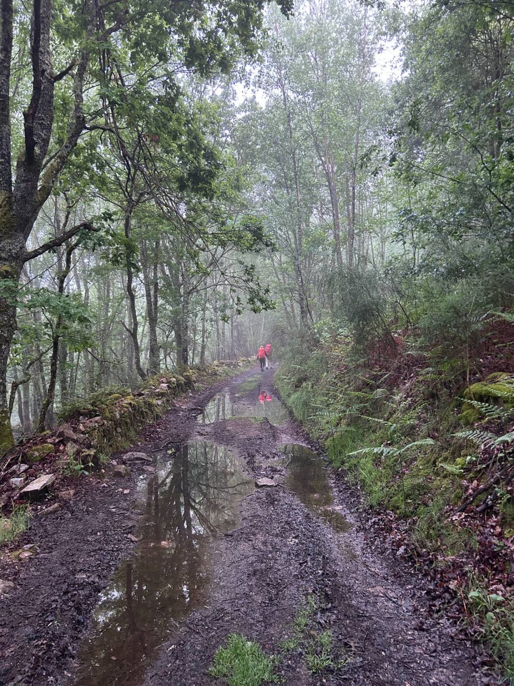 Camino Primitivo - Etape 7 - Castro à A Fonsagrada
