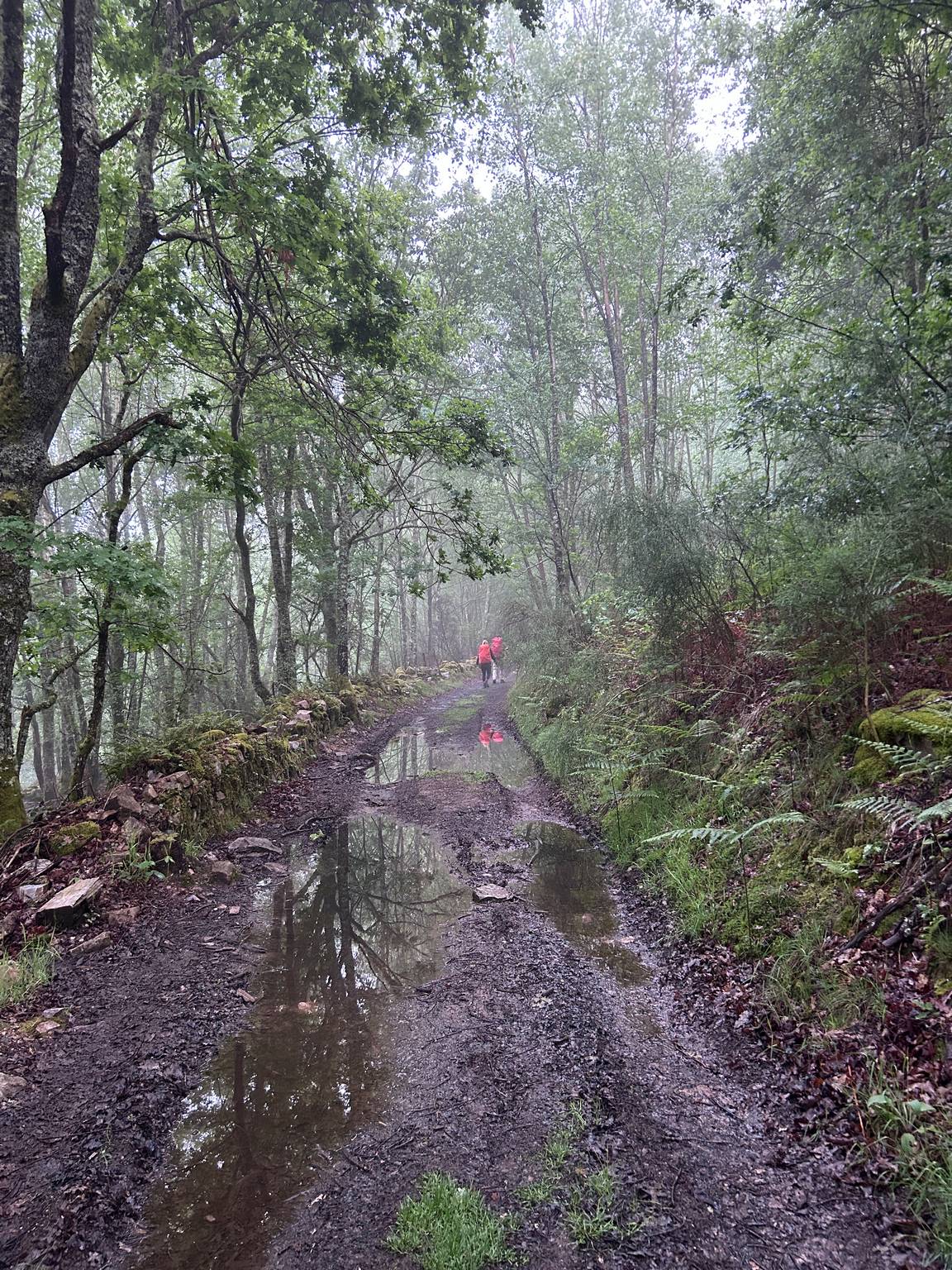 Camino Primitivo - Etape 7 - Castro à A Fonsagrada