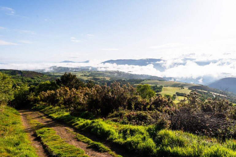 Camino Primitivo - Etape 7 - Castro à A Fonsagrada