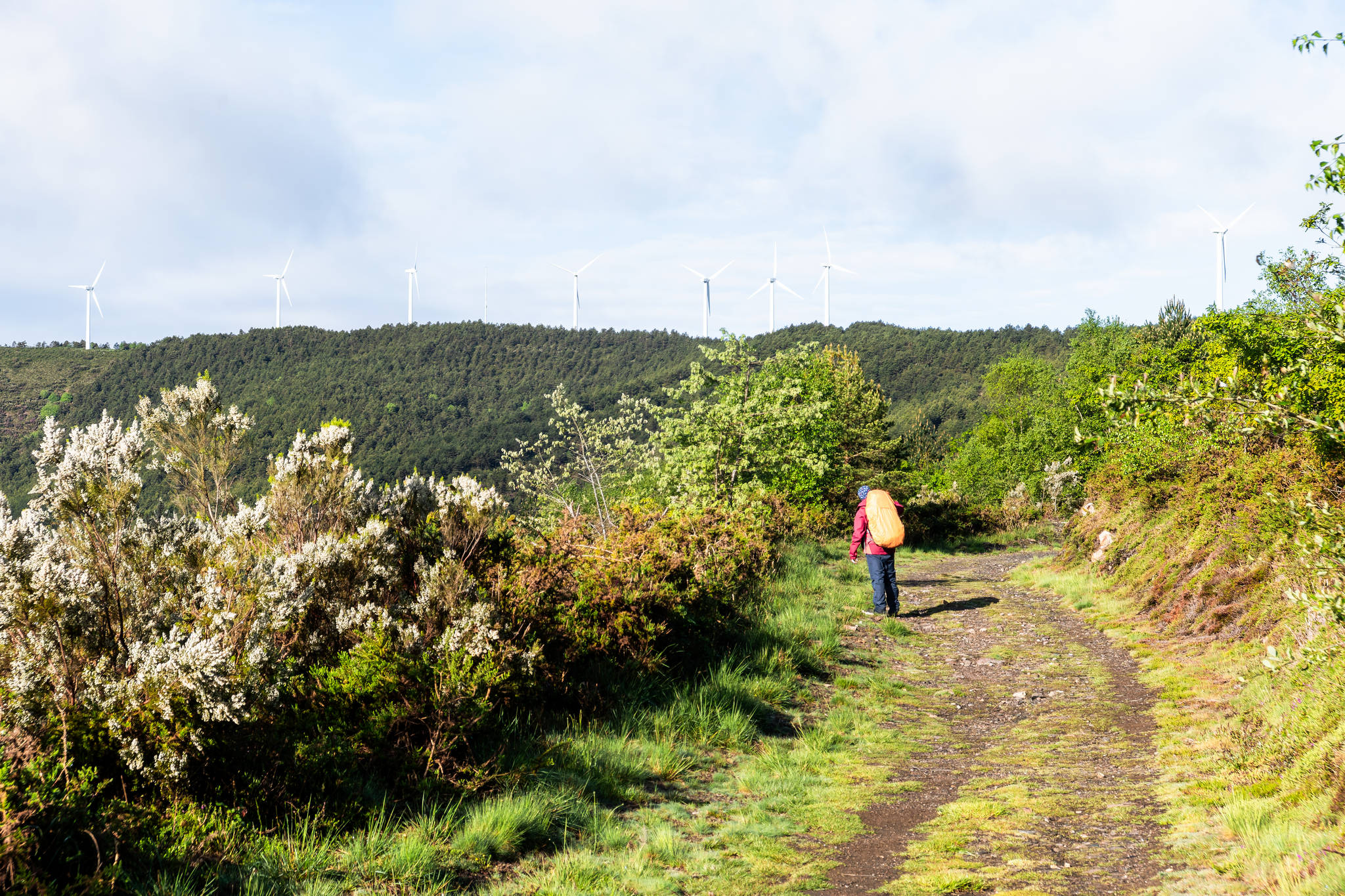 Camino Primitivo - Etape 7 - Castro à A Fonsagrada