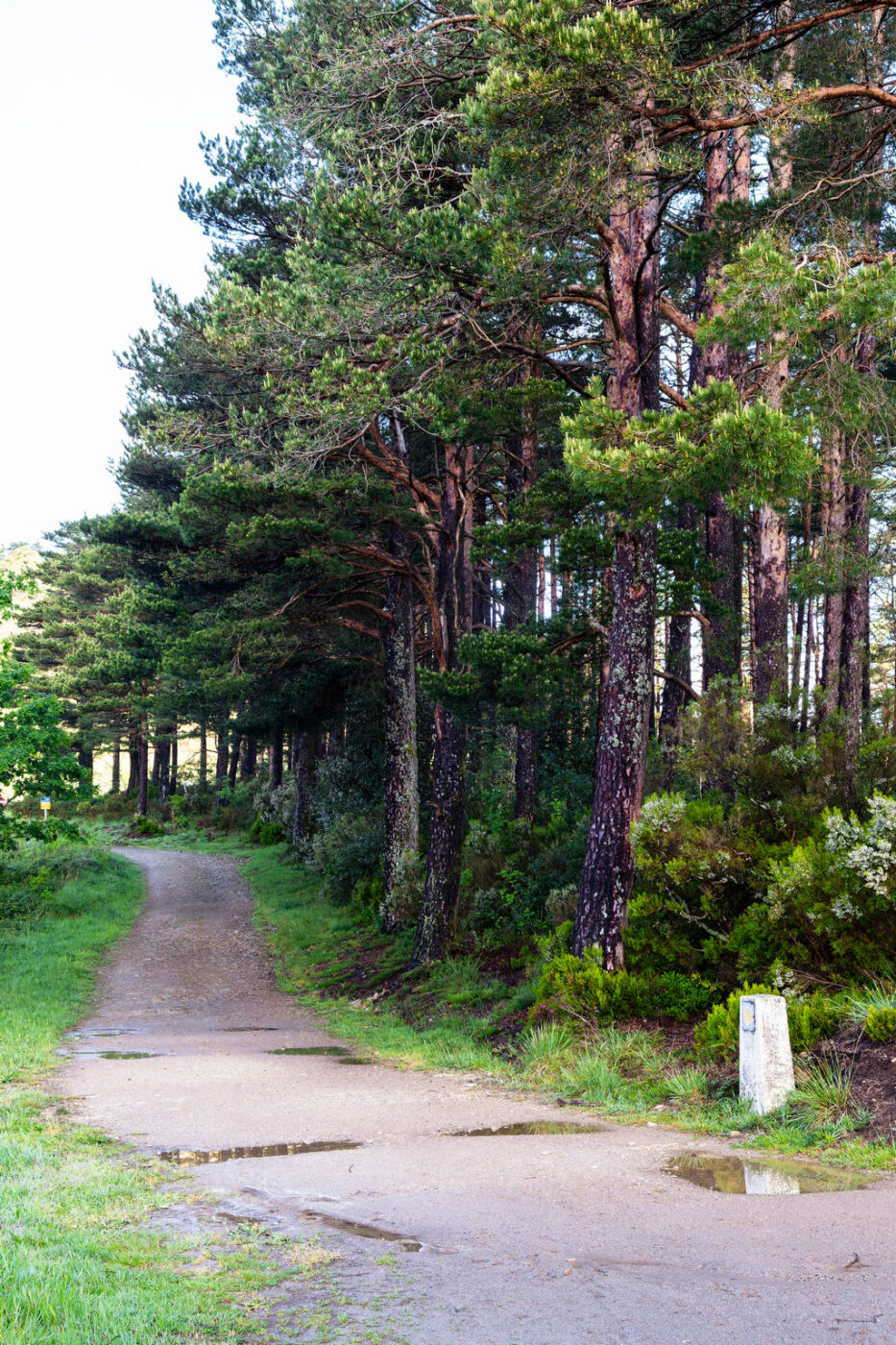 Camino Primitivo - Etape 7 - Castro à A Fonsagrada