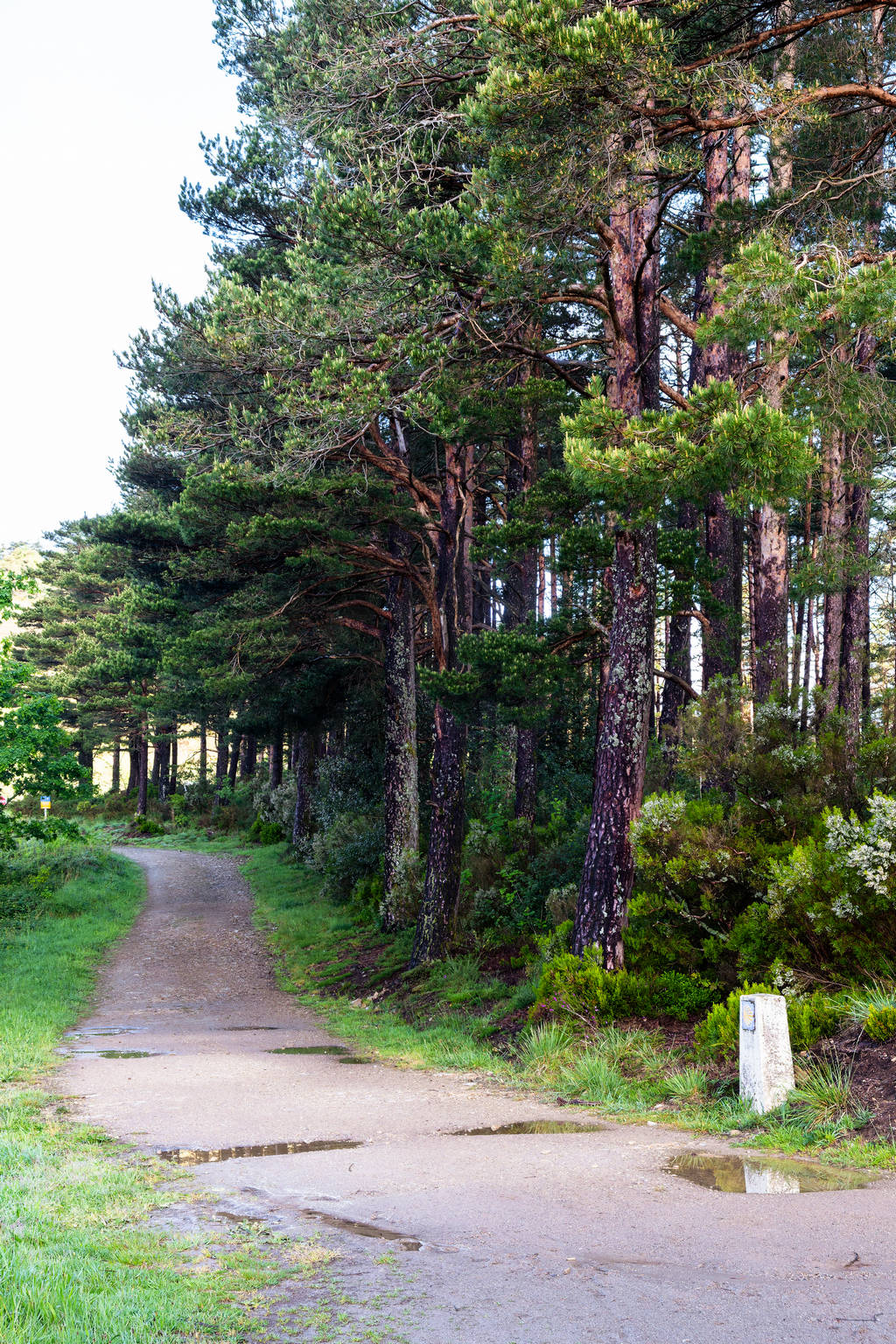 Camino Primitivo - Etape 7 - Castro à A Fonsagrada
