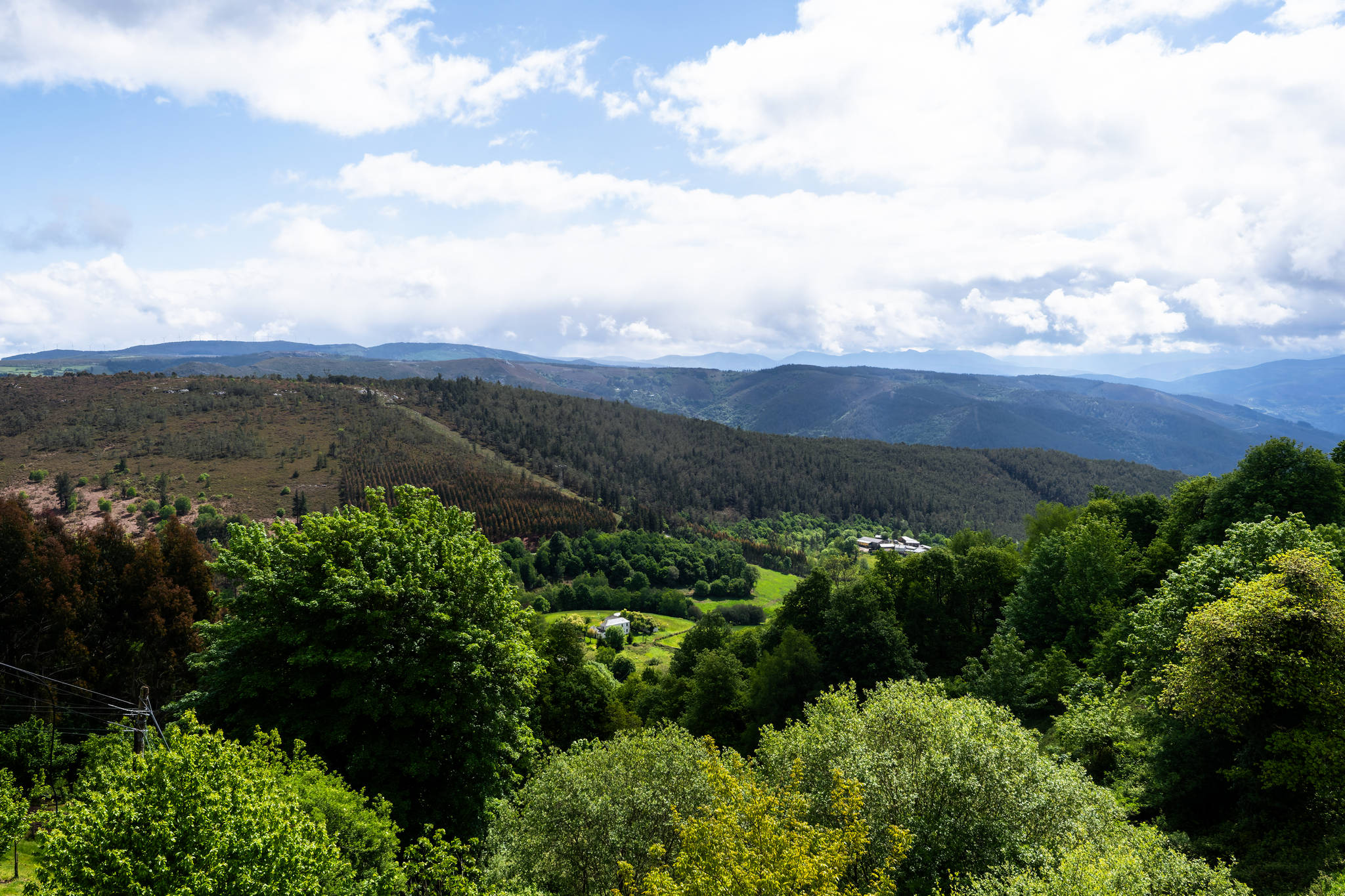 Camino Primitivo - Etape 7 - Castro à A Fonsagrada