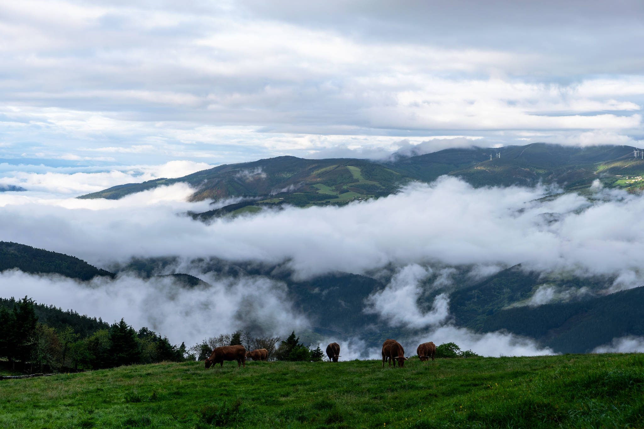 Camino Primitivo - Etape 6 - La Mesa à Castro