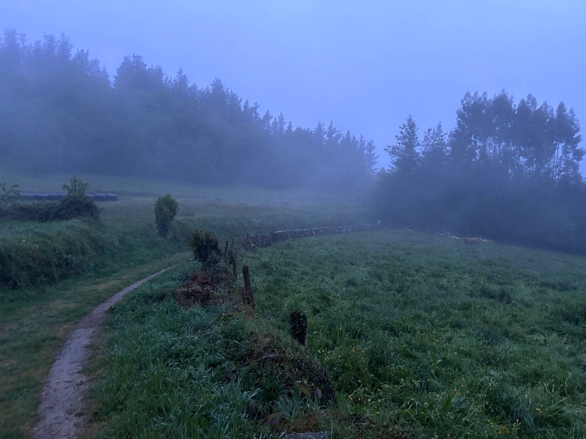 Camino Primitivo - Etape 8 - A Fonsagrada à Castro Verse