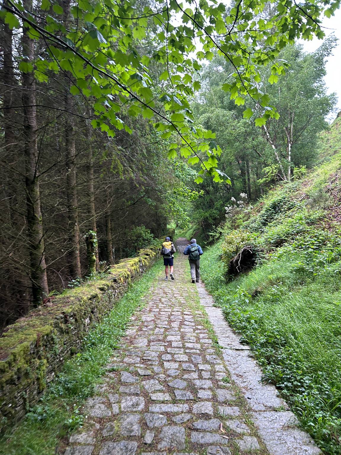 Camino Primitivo - Etape 8 - A Fonsagrada à Castro Verse