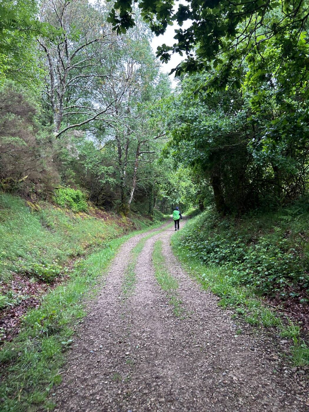 Camino Primitivo - Etape 8 - A Fonsagrada à Castro Verse