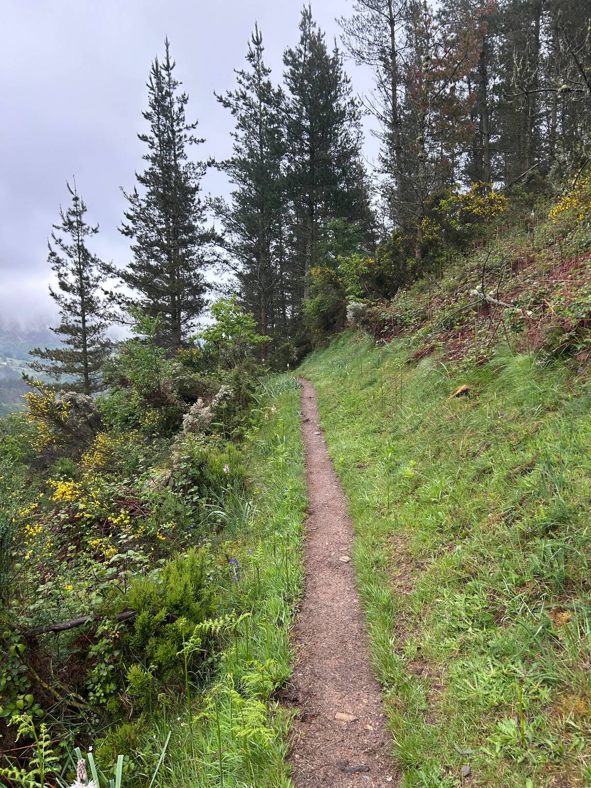 Camino Primitivo - Etape 8 - A Fonsagrada à Castro Verse