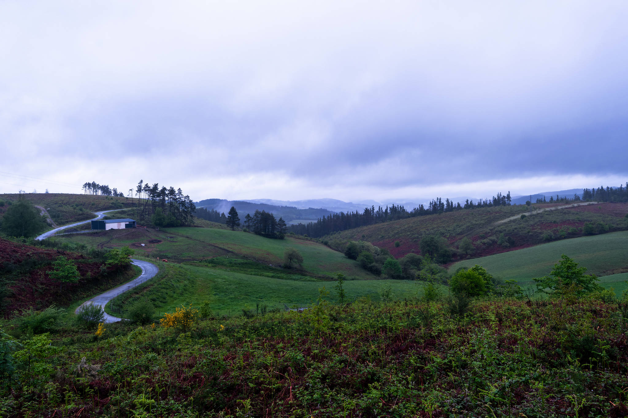 Camino Primitivo - Etape 8 - A Fonsagrada à Castro Verse