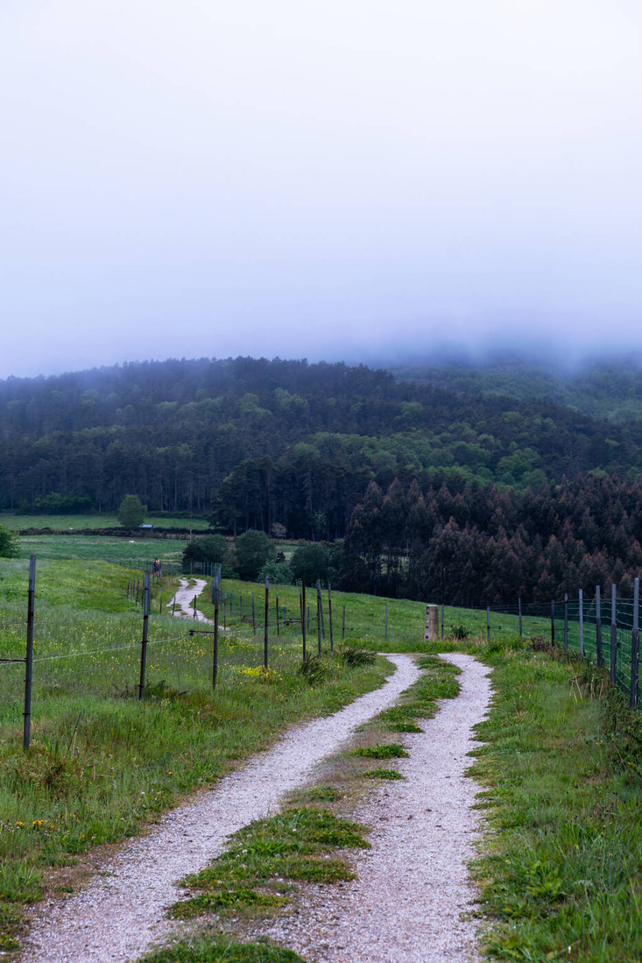 Camino Primitivo - Etape 8 - A Fonsagrada à Castro Verse