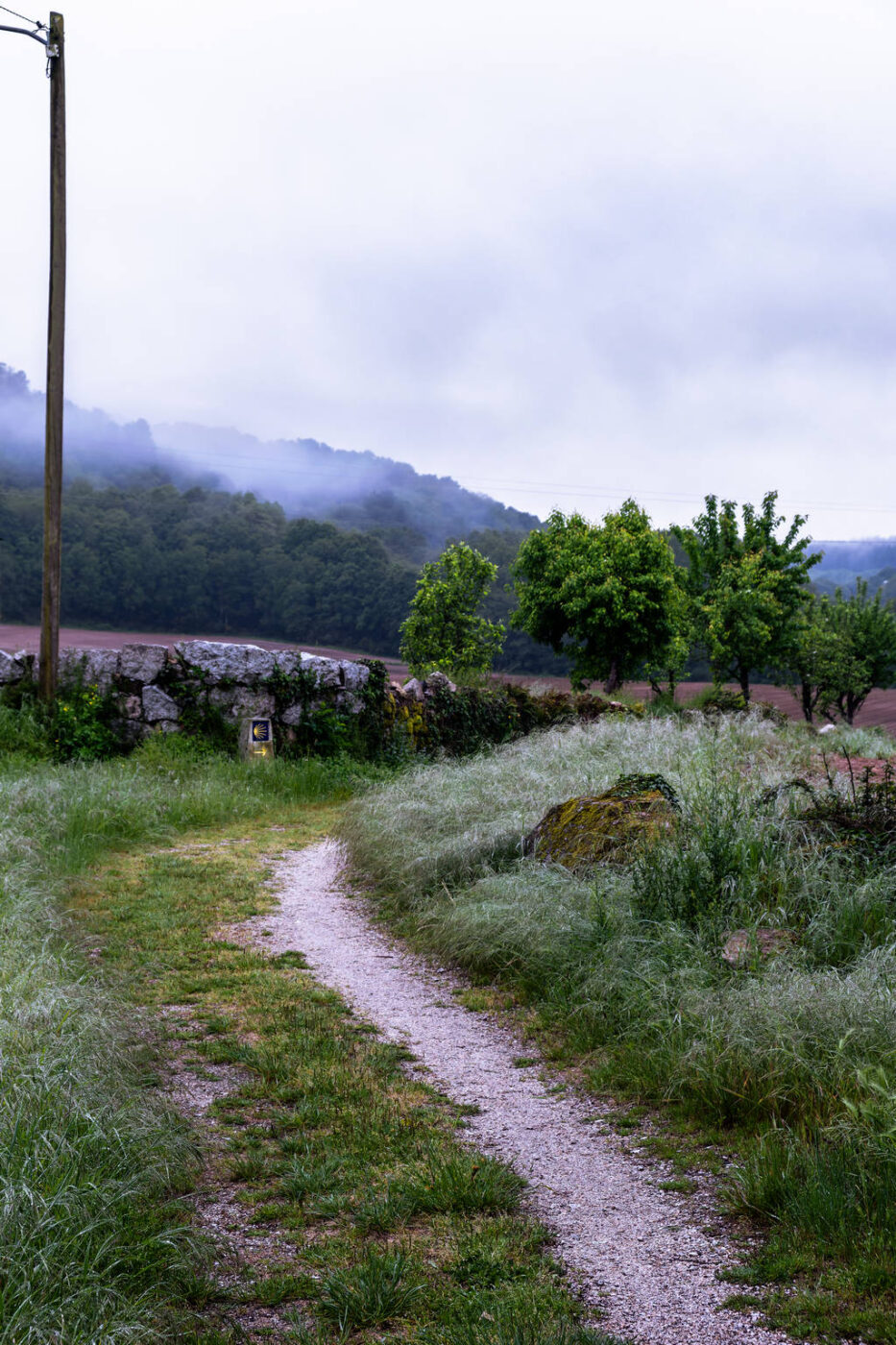 Camino Primitivo - Etape 9 - Castroverde à Lugo