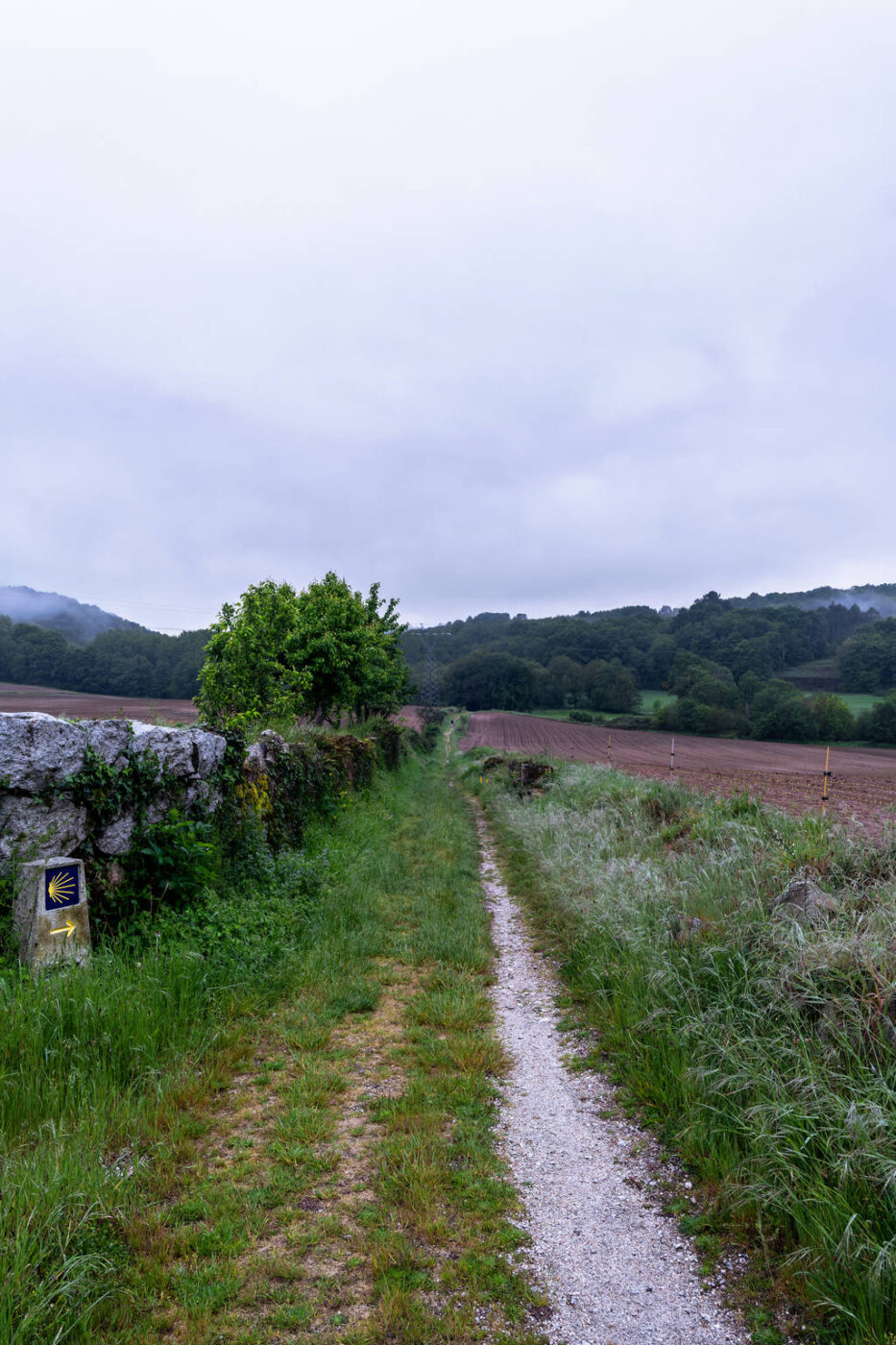 Camino Primitivo - Etape 9 - Castroverde à Lugo