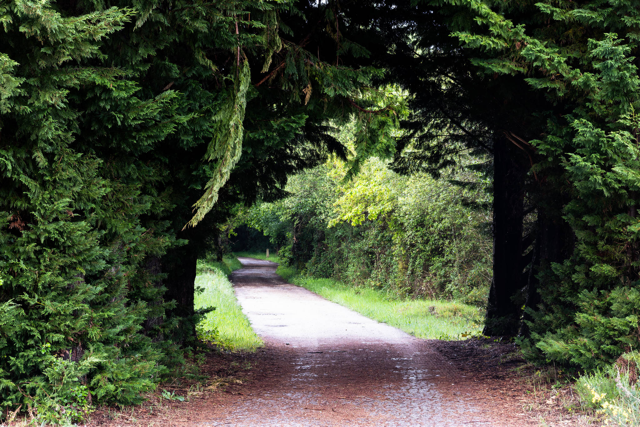 Camino Primitivo - Etape 9 - Castroverde à Lugo