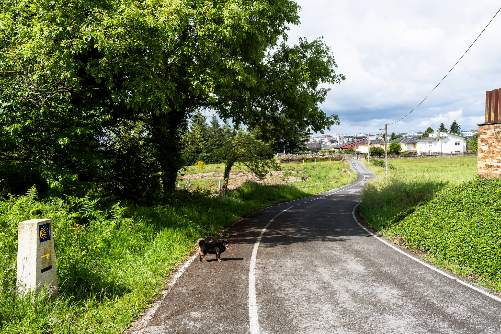 Camino Primitivo - Etape 9 - Castroverde à Lugo