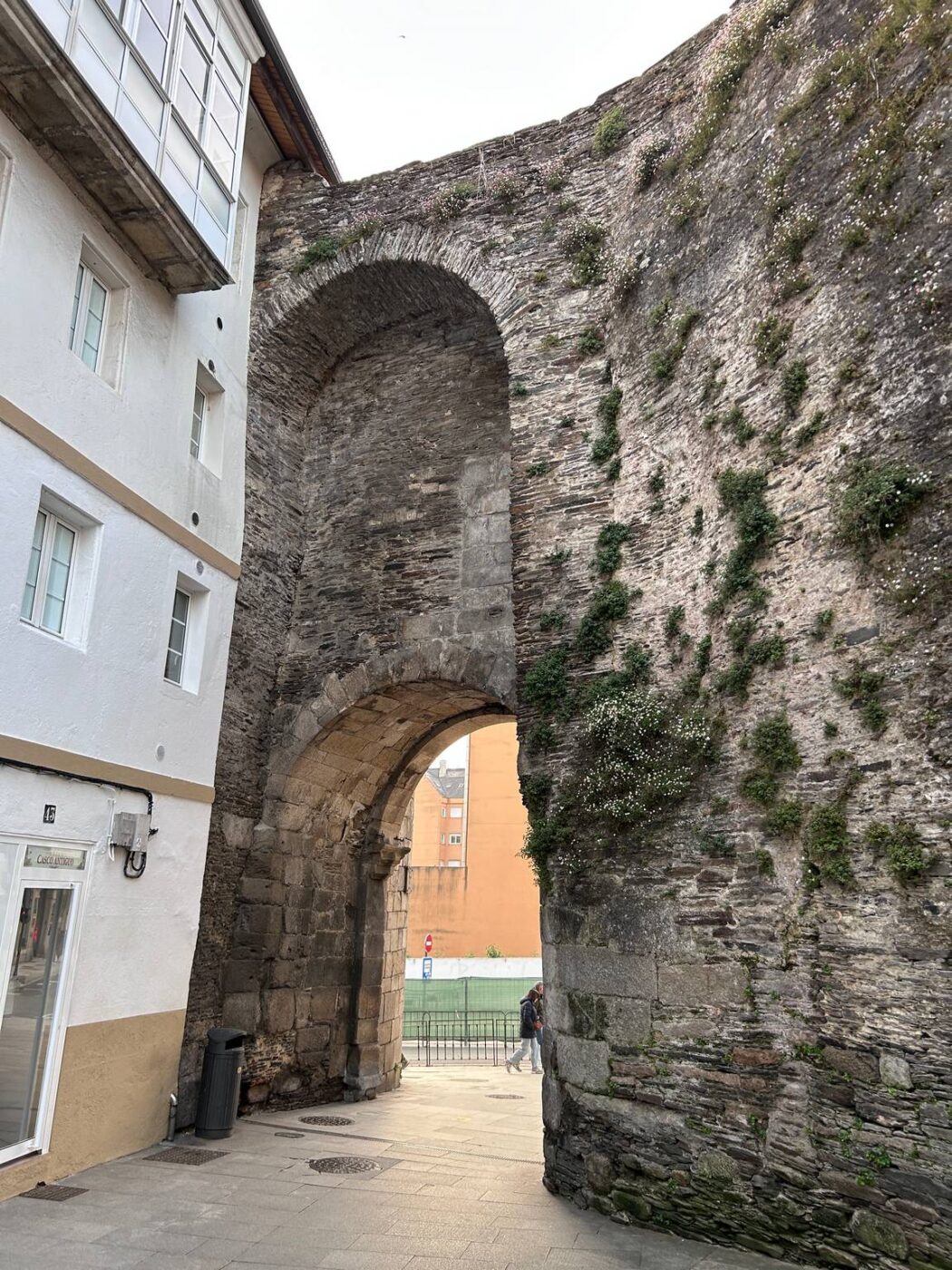 Camino Primitivo – Etape 10 – Lugo à Ferreira