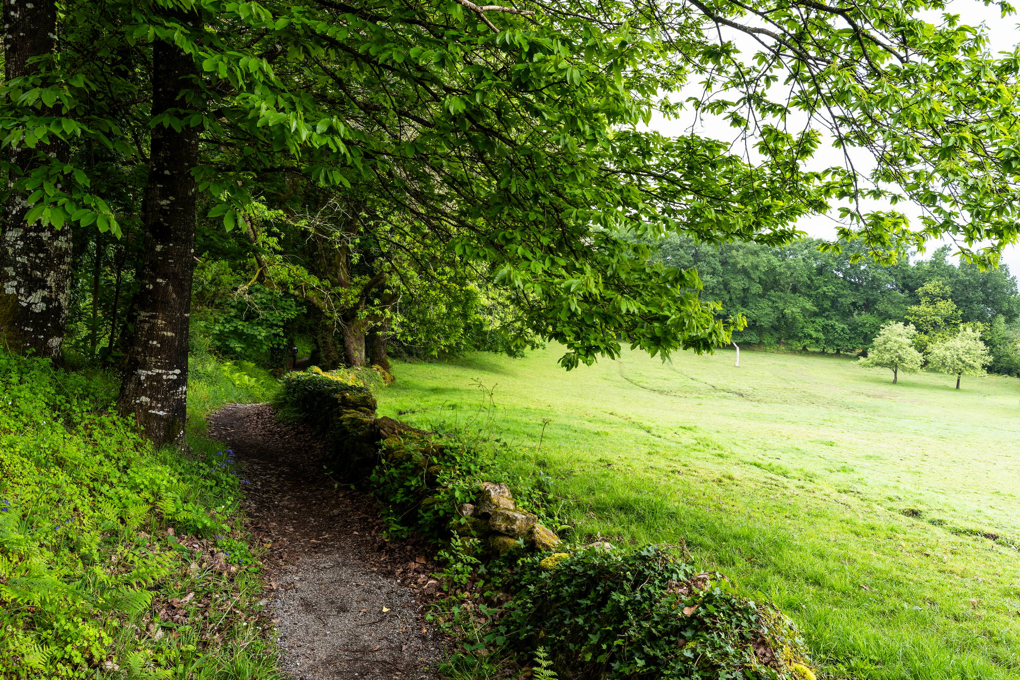 Camino Primitivo – Etape 10 – Lugo à Ferreira