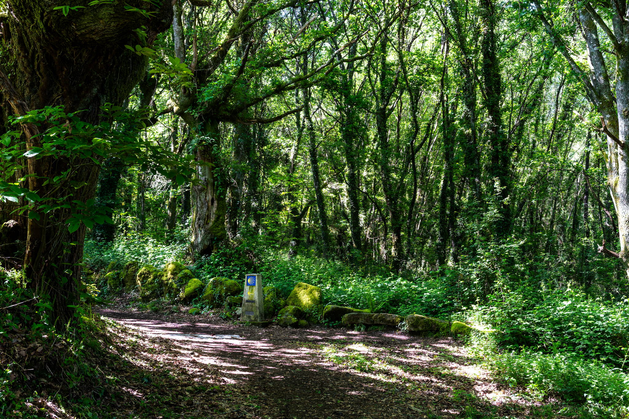 Camino Primitivo – Etape 10 – Lugo à Ferreira