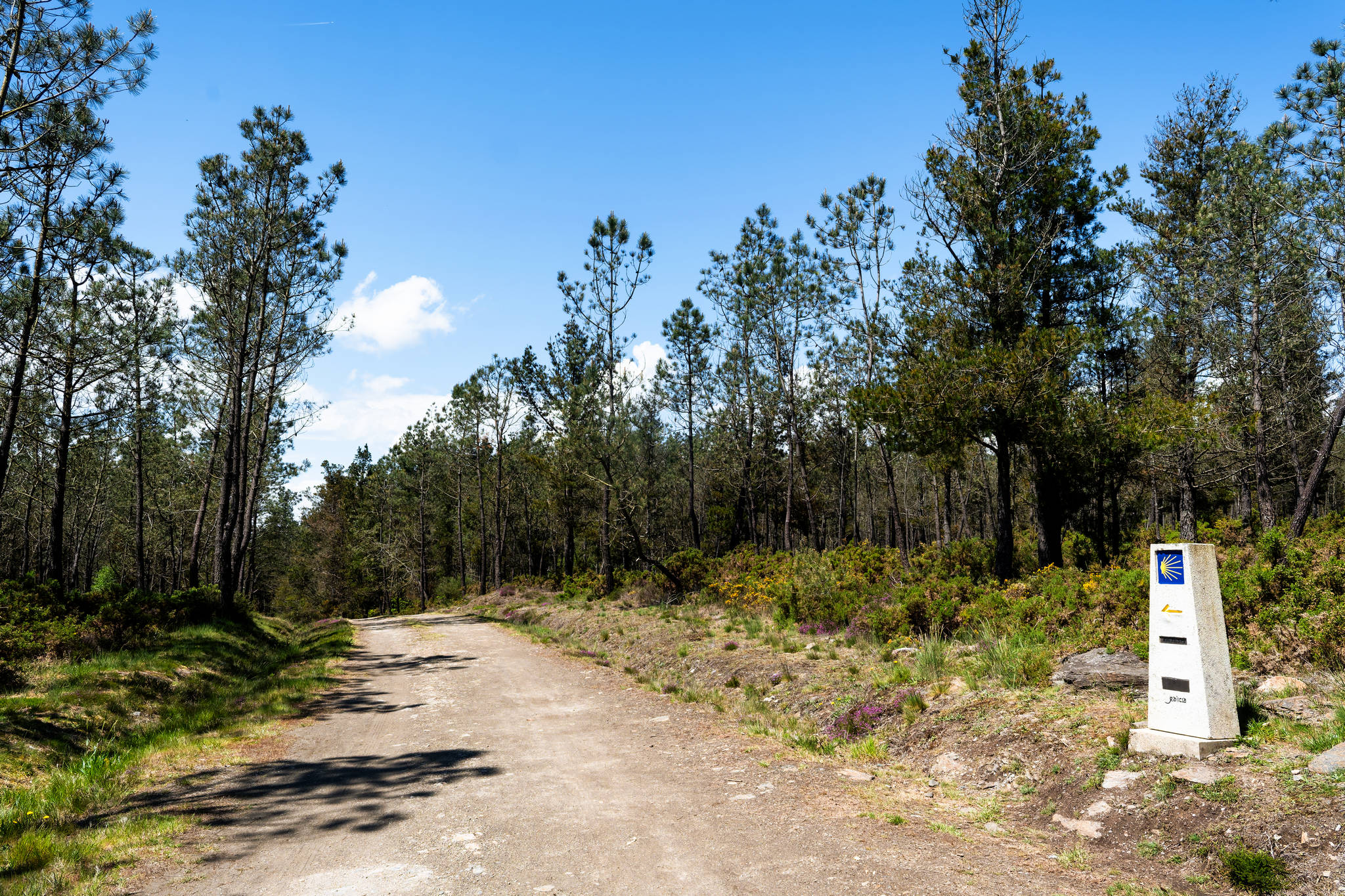 Camino Primitivo – Etape 10 – Lugo à Ferreira