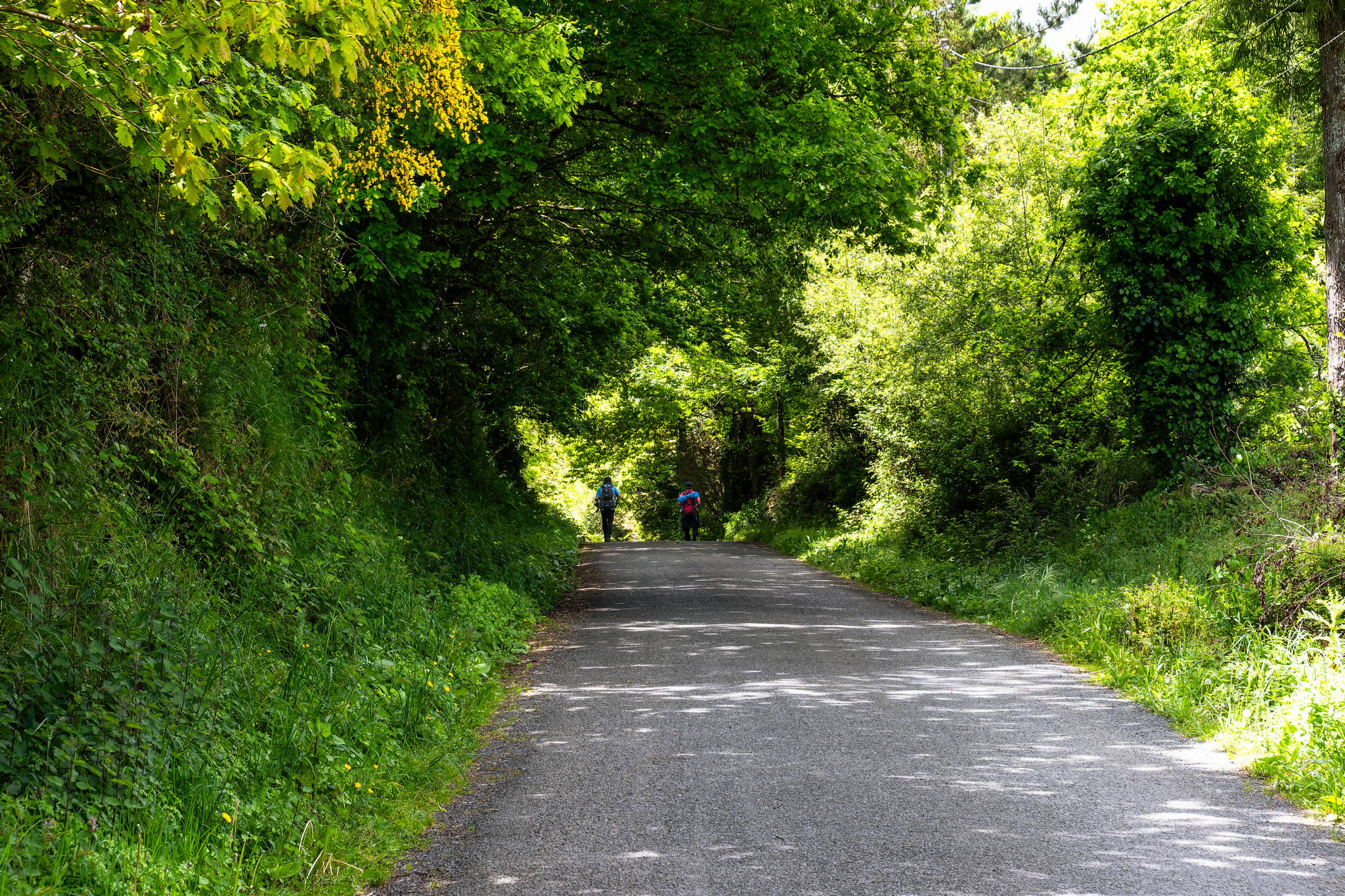 Camino Primitivo – Etape 10 – Lugo à Ferreira