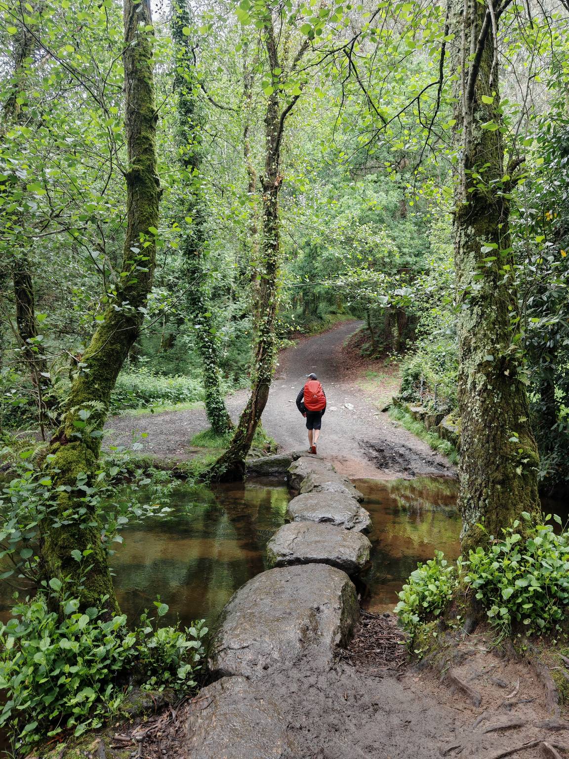 Camino Primitivo - Etape 11 - Ferreira à Boente