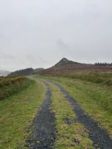 Camino Primitivo - Etape 11 - Ferreira à Boente