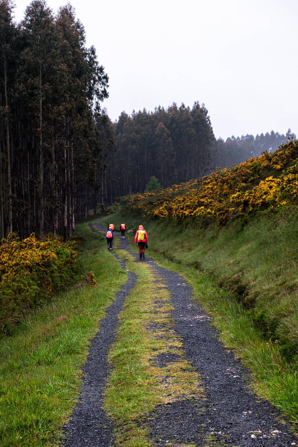 Camino Primitivo - Etape 11 - Ferreira à Boente