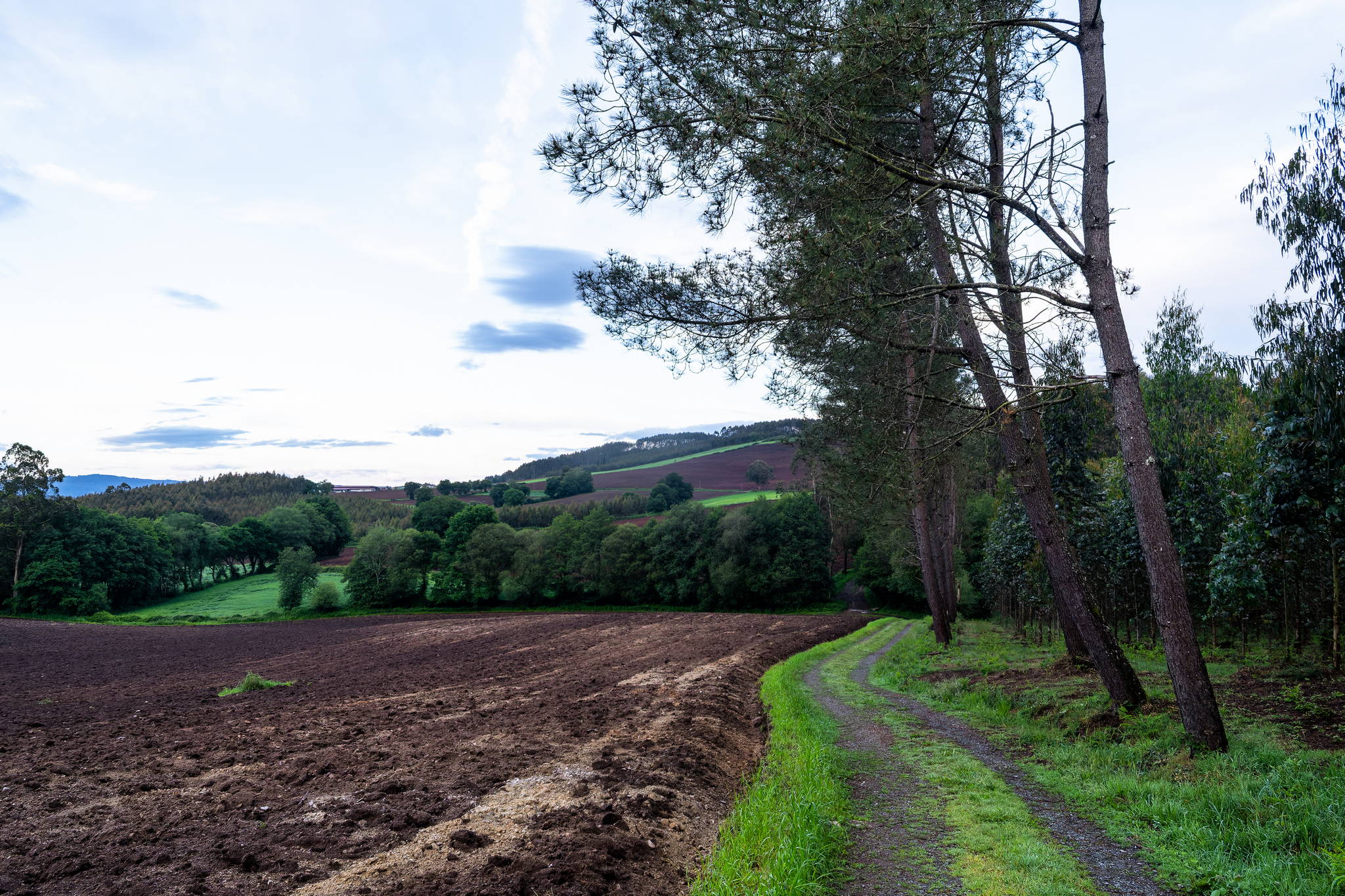 Camino Primitivo - Etape 12 - Boente à O Perdrouzo