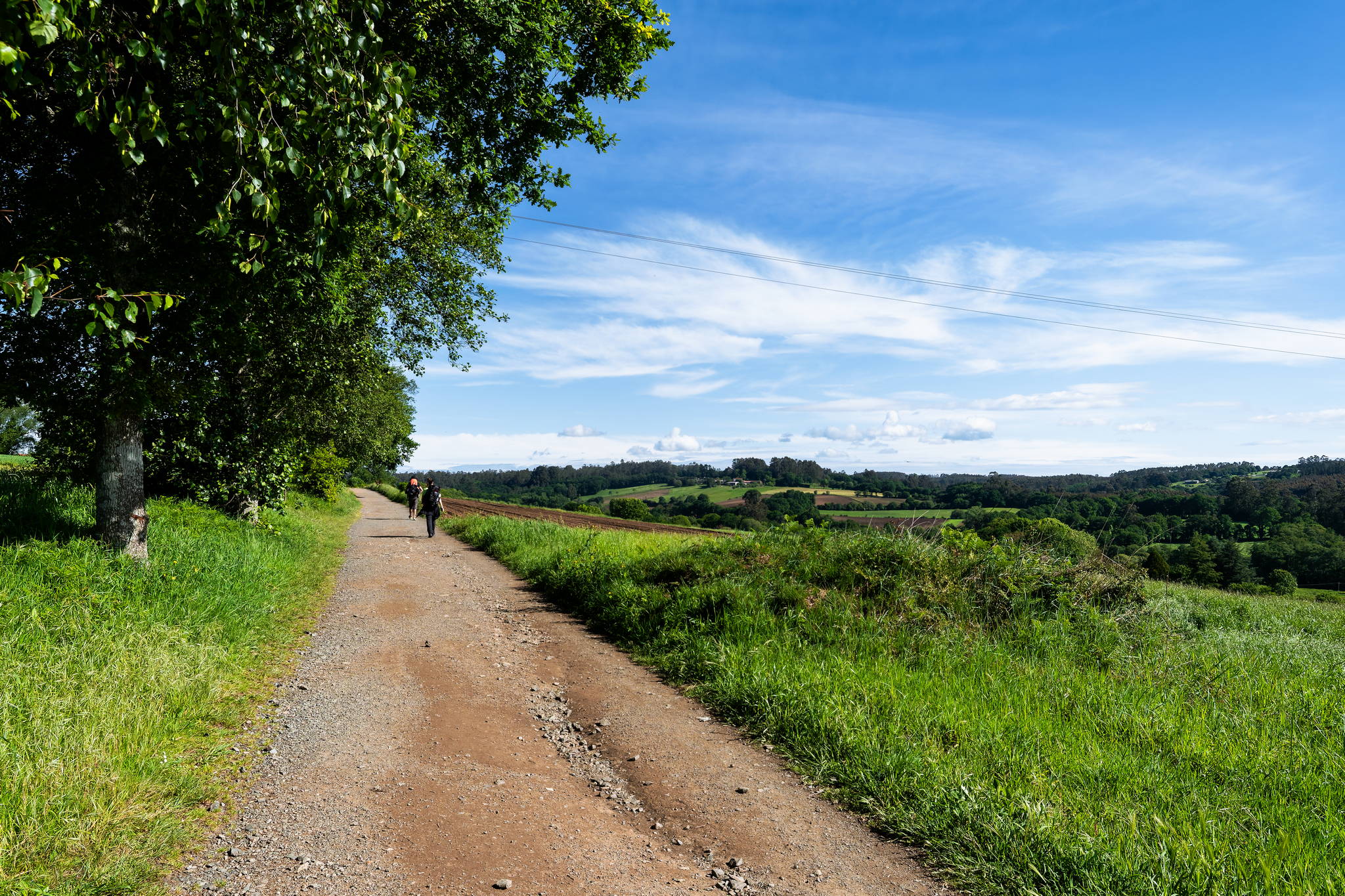 Camino Primitivo - Etape 12 - Boente à O Perdrouzo