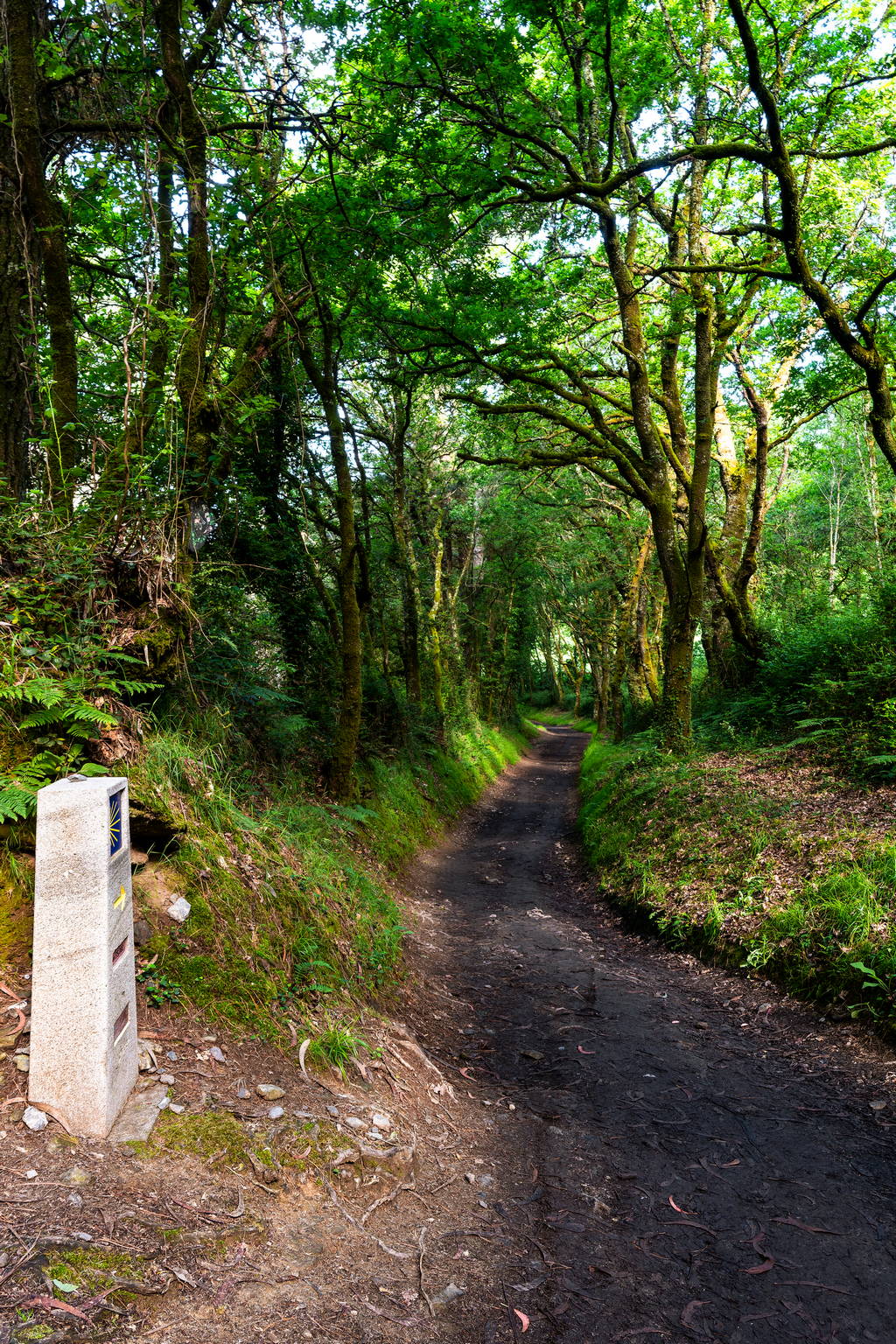 Camino Primitivo - Etape 12 - Boente à O Perdrouzo